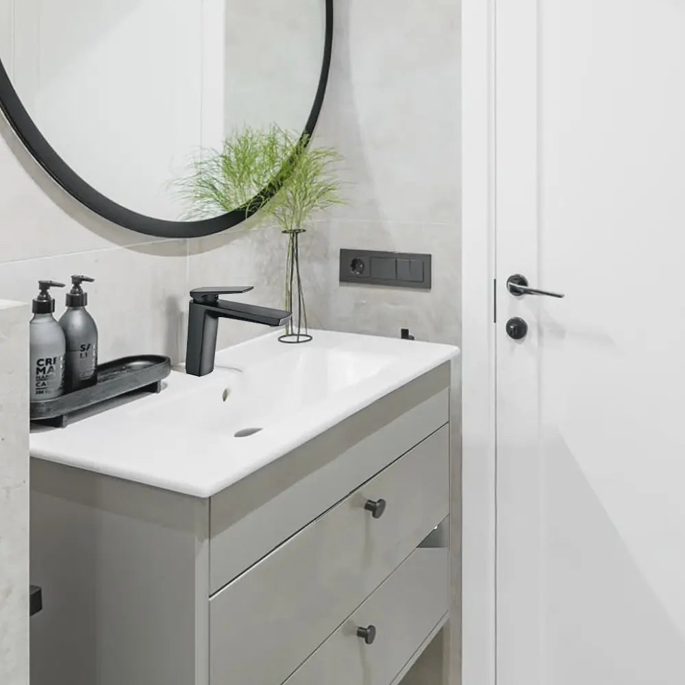 Blake Short Basin Mixer