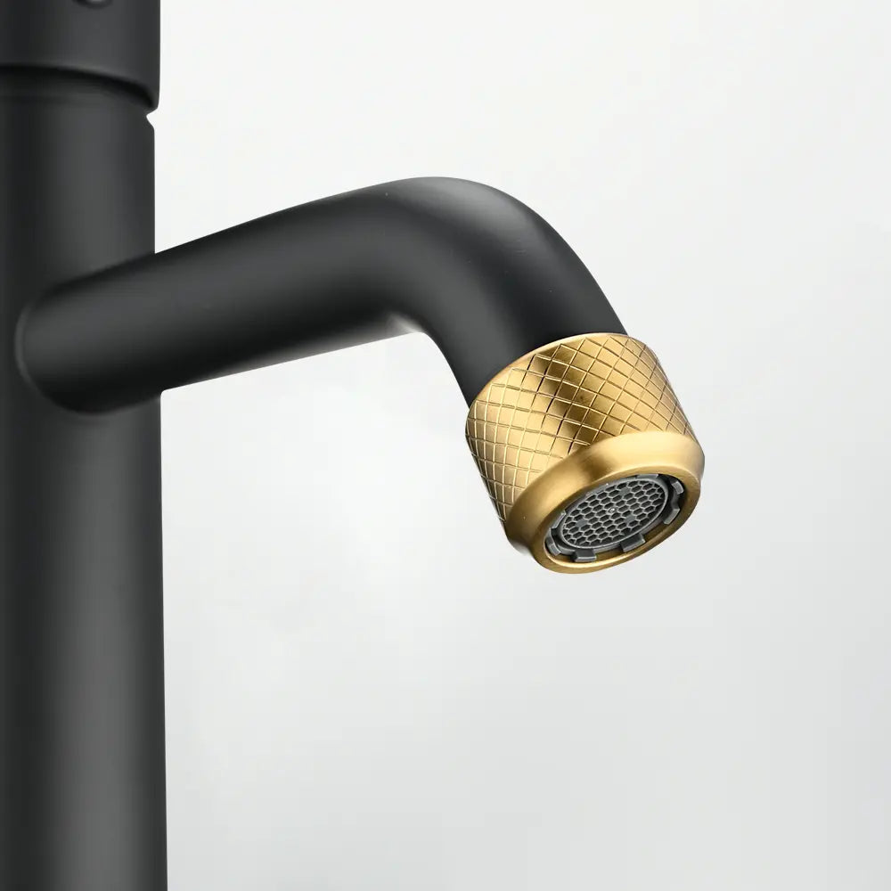 Xavier Stainless Steel Curved Basin Mixer