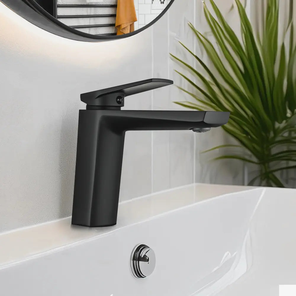 Blake Short Basin Mixer