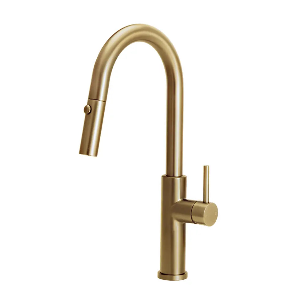 Arie Gooseneck Pull Out Sink Mixer Tap