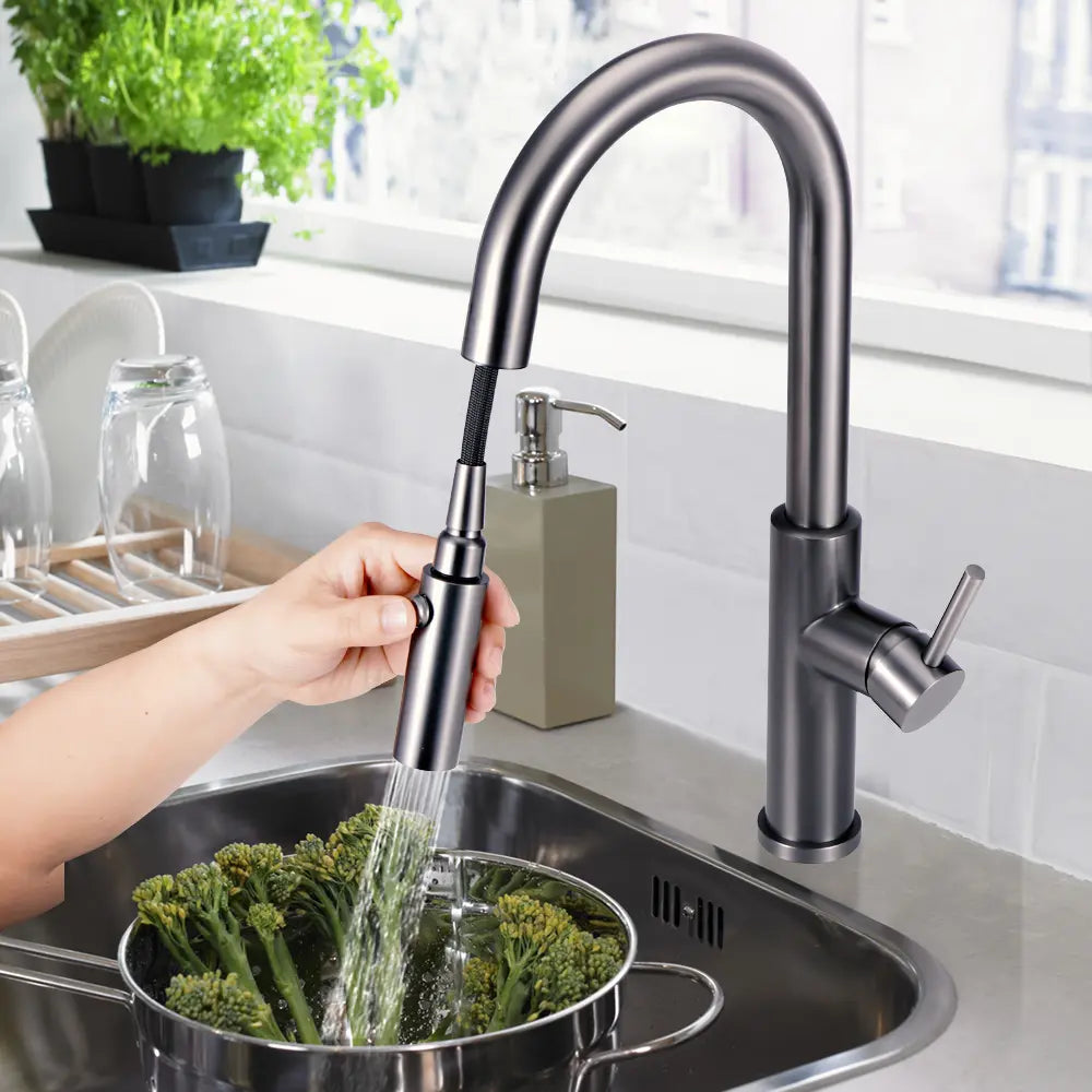 Arie Gooseneck Pull Out Sink Mixer Tap